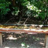 photo 2021-07-24 09-58-58