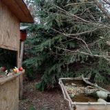 photo 2021-12-18 14-07-29