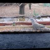 photo 2021-12-10 13-22-46