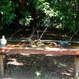 photo 2021-07-21 09-51-17