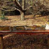 photo 2021-10-26 14-36-18