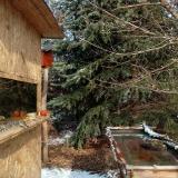 photo 2022-01-09 12-05-48