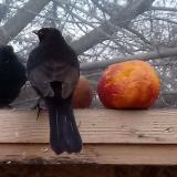 photo 2022-01-20 16-07-06 rigo