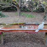 photo 2021-04-09 18-34-25