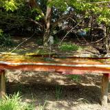 photo 2021-04-26 11-49-42