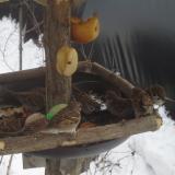 photo 2019-01-27 12-50-03