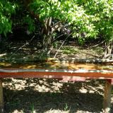 photo 2021-05-11 11-37-13