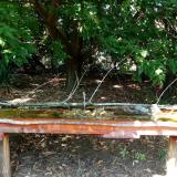 photo 2021-09-13 14-13-00