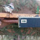 photo 2021-02-25 07-53-20