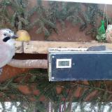 photo 2021-02-13 08-03-31