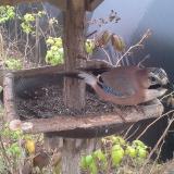 photo 2019-12-12 11-23-59