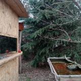 photo 2022-01-05 08-58-25