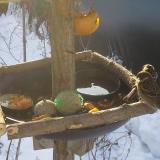 photo 2019-01-27 09-11-16