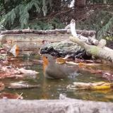 photo 2023-10-09 15-40-00