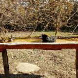 photo 2021-03-11 10-36-00