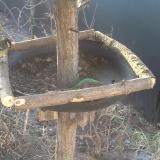 photo 2019-02-14 07-55-36