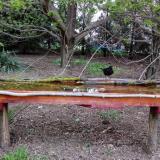 photo 2021-04-14 18-50-42