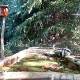 photo 2023-10-03 10-17-59