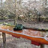 photo 2021-03-26 07-35-27