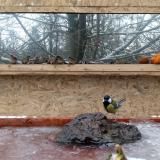 photo 2022-01-22 09-51-43