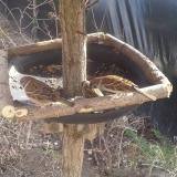 photo 2019-02-15 13-09-46