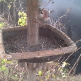 photo 2019-12-19 09-39-29