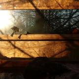 photo 2022-01-24 08-29-50