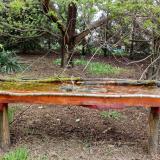 photo 2021-04-15 12-12-33