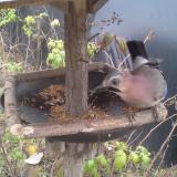 photo 2019-12-10 13-39-54