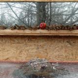 photo 2022-01-16 11-49-33