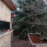 photo 2022-01-01 07-35-05