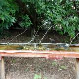 photo 2021-08-04 11-59-36