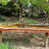 photo 2021-04-27 09-09-15