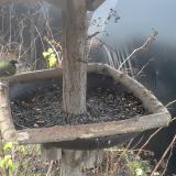 photo 2019-12-25 09-35-21