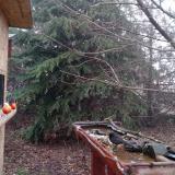 photo 2021-12-16 08-24-06