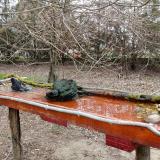 photo 2021-03-24 08-35-31