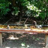 photo 2021-07-24 10-02-05