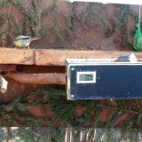 photo 2021-03-03 09-45-04