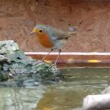 photo 2023-10-28 15-19-35 vorosbegy