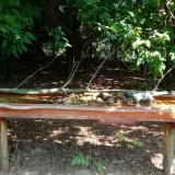 photo 2021-07-22 10-34-51