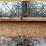 photo 2022-01-16 10-59-37