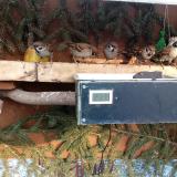 photo 2021-02-11 15-29-01