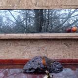 photo 2022-01-30 07-04-04