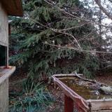 photo 2021-11-17 15-25-11