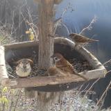 photo 2019-12-31 10-47-27