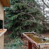 photo 2021-11-19 11-09-54