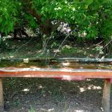 photo 2021-05-11 13-50-36