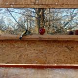 photo 2022-01-14 14-03-04