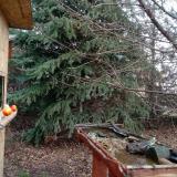 photo 2021-12-16 11-07-45