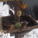 photo 2019-01-27 11-48-02